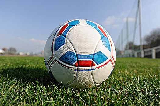 足球,球,德国,卧,草,地点