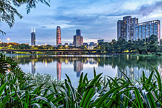 深圳洪湖公园城市夜景