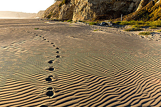 脚印,沙子,图案,海滩,岬角,州立公园,俄勒冈,美国