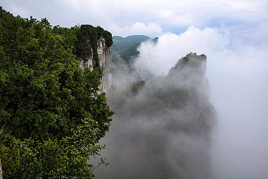 恩施,黄鹤峰,风景,景点,旅游,高山,山区,神秘,树木,植被,石头,鄂西,奇石,峡谷,壮观,云海,仙境