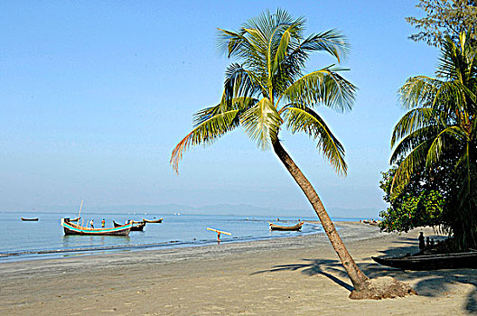 孟加拉,岛屿,海滩