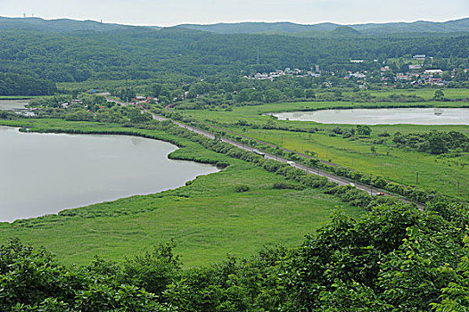 斑点,钏路,湿地,釧路,北海道,日本