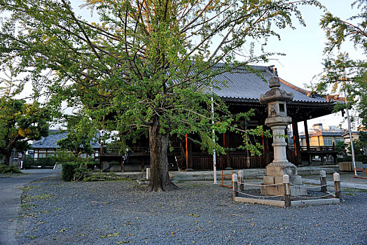 日本京都妙传寺
