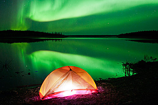 帐蓬,北极光,北方针叶林,耶洛奈夫,加拿大西北地区,加拿大