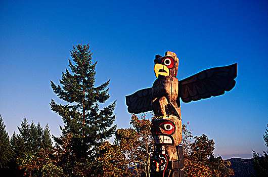 第一,图腾柱,顶峰,温哥华岛,不列颠哥伦比亚省,加拿大