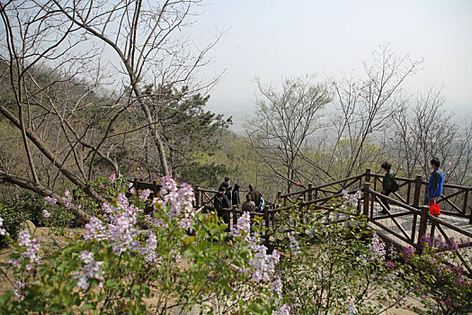 山东省日照市,市民享受清明节小长假,风景区人头攒动