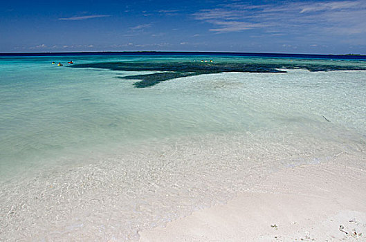 伯利兹,兰花,小,私人岛屿,加勒比海,屏障,礁石,水下呼吸管,远景