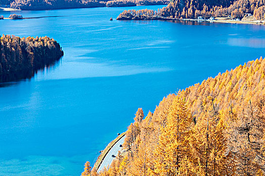 蓝湖,围绕,彩色,木头,秋天,格劳宾登,恩格达恩,瑞士,欧洲