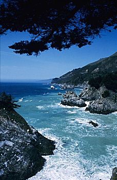 加利福尼亚,大,海岸,小湾,海洋,海岸线,框架,树枝