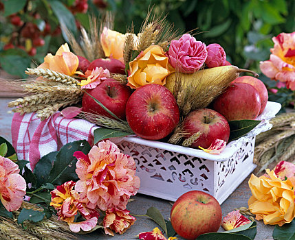 感恩节,苹果,粮食