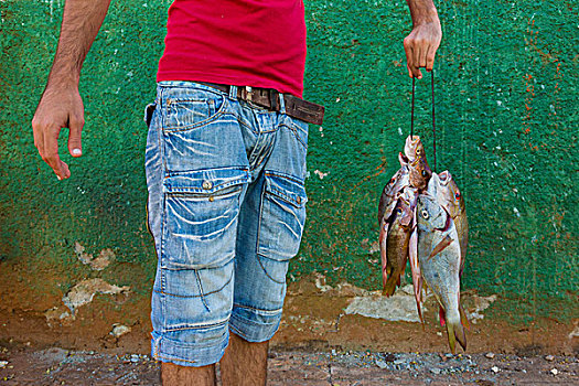 特写,男人,拿着,新鲜,抓住,鱼肉,哈瓦那,古巴