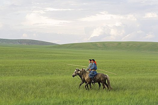骑手,草地,内蒙古,中国