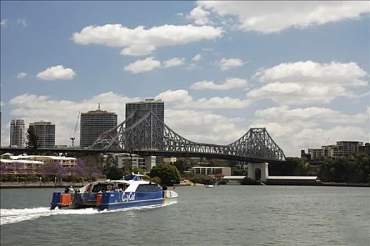 布理斯班河,渡轮,正面,澳大利亚