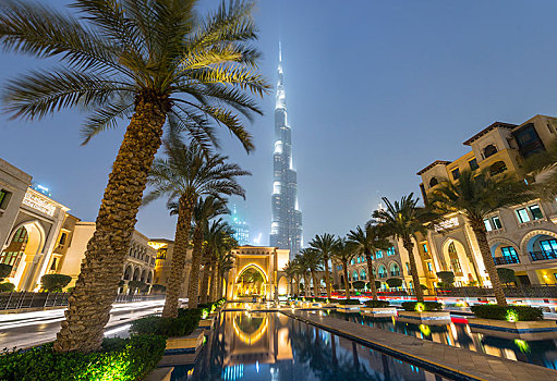 棕榈树,喷泉,哈利法,蓝色,钟点,迪拜,酋长国,阿联酋,亚洲
