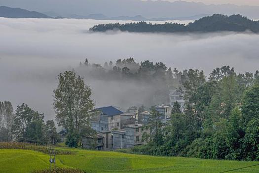 重庆酉阳,丁市初秋风景,二