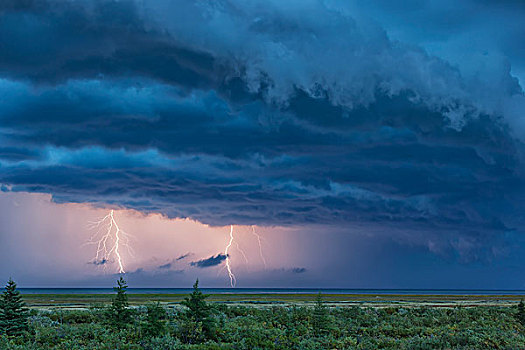一对,闪电,雷击,雷暴,上方,哈得逊湾,曼尼托巴,加拿大