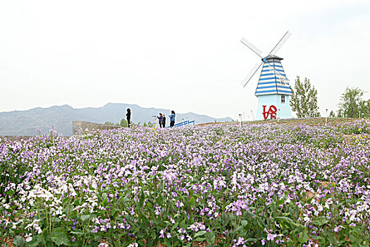 迁西,滦河,公园,河滩,建设,美化,建筑,风光,休闲,水景,风车,婚纱,摄影,基地