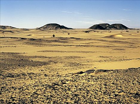 华美,沙漠,景色,远处,西南方,腐蚀,沉积岩,延展,撒哈拉沙漠