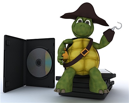 海盗,龟,dvd,软件