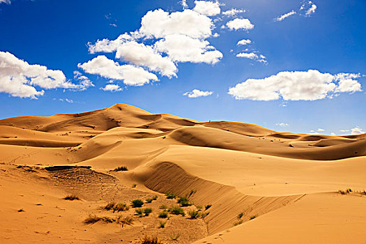 沙丘,却比沙丘,摩洛哥