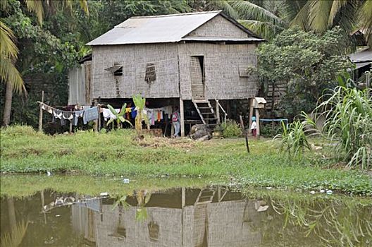 贫民窟,收获,柬埔寨,亚洲