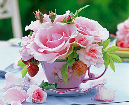 花,玫瑰,草莓属,咖啡杯,花瓣