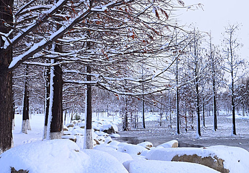 雪景