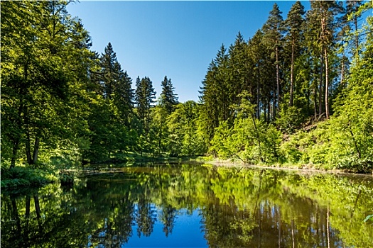 质朴,湖,场景