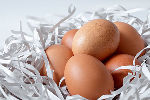 鸡蛋放在,碎纸条制作形状像鸟巢的护垫里