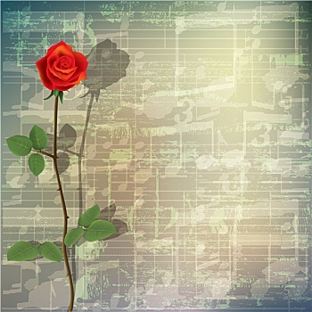 抽象,低劣,音乐,背景,红玫瑰