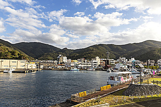 渔港,鹿儿岛,日本