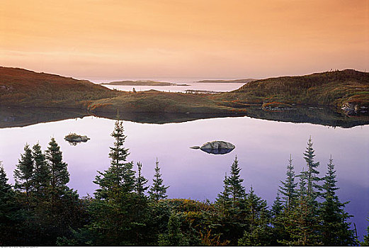 日落,湖,纽芬兰,加拿大