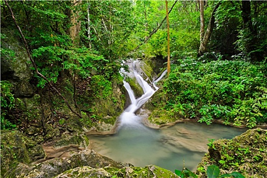 风景,瀑布,热带雨林,泰国