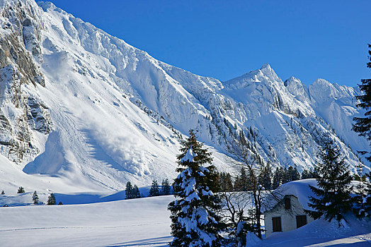 雪崩,山丘,阿彭策尔,阿尔卑斯山,瑞士,欧洲