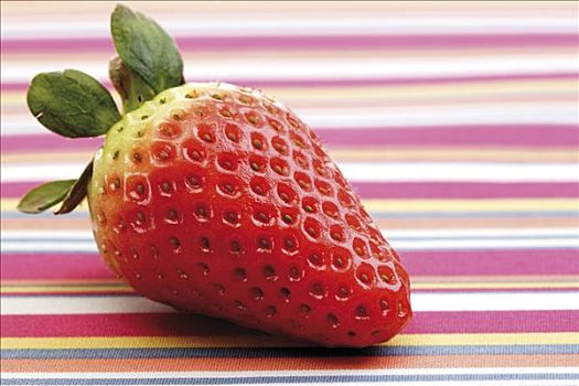 草莓,红色,条纹,桌布
