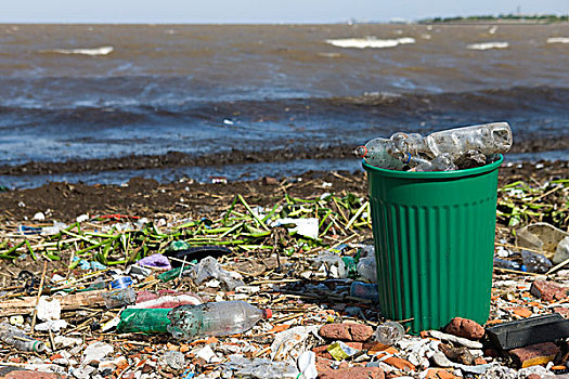 垃圾桶,溢出,塑料瓶,污染,岸边