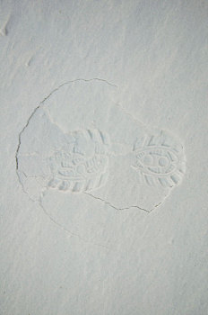 雪地上的脚印