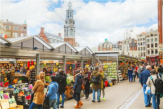街道,花市,阿姆斯特丹