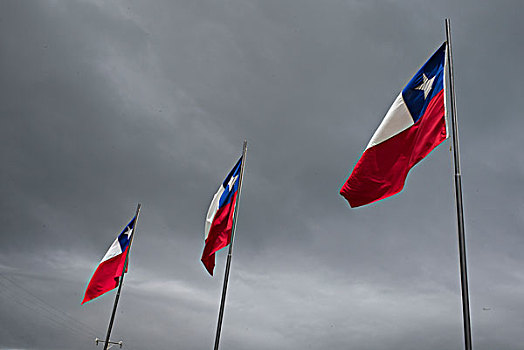 智利人,旗帜,波多黎各,巴塔哥尼亚,智利
