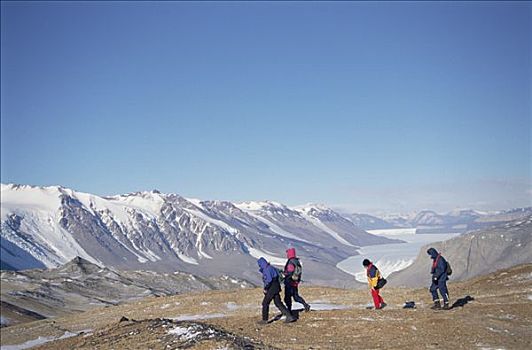 游客,冰冻,荒芜,干燥,山谷,罗斯海,南极