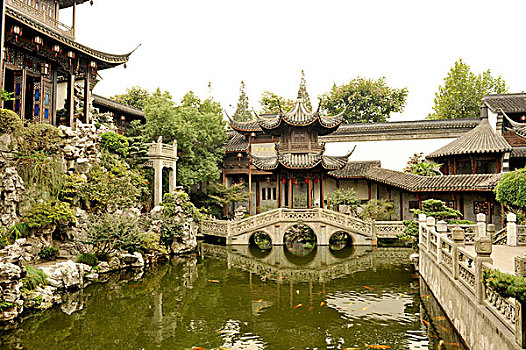 传统,中式花园,鱼,水池,石桥,亭子,杭州,中国