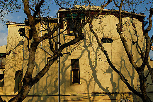 上海老洋房外墙图片