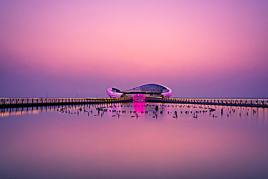 苏州湾阅湖台夜景