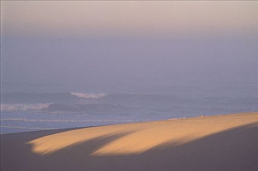 沙丘,靠近,大西洋,开普省,南非