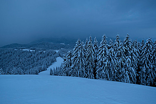 清晨,冬天,巴特特尔茨,巴伐利亚阿尔卑斯山,巴伐利亚,德国