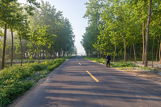 乡村道路