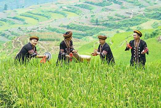 重庆酉阳,乡村旅游趣味多