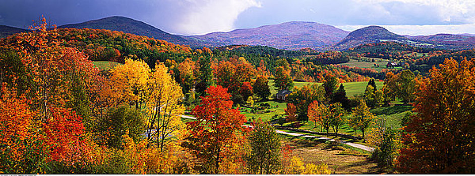 秋天,景色,佛蒙特州,美国