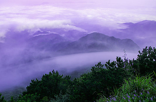 清晨,山间,云雾缭绕