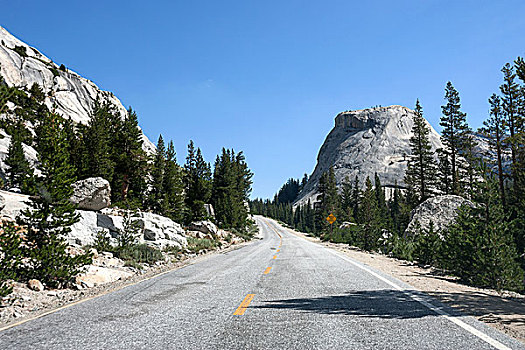 道路,右边,后面,圆顶,优胜美地国家公园,加利福尼亚,美国,北美